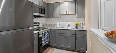 Modern kitchen with gray cabinets and appliances