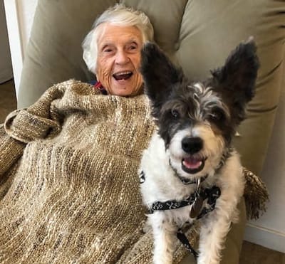 Resident enjoying time with a dog on a cozy chair