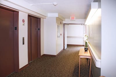 Interior hallway with elevator doors and a plant