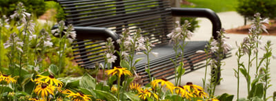 Outdoor seating area surrounded by flowers