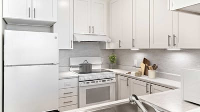 Modern kitchen with white cabinetry and appliances