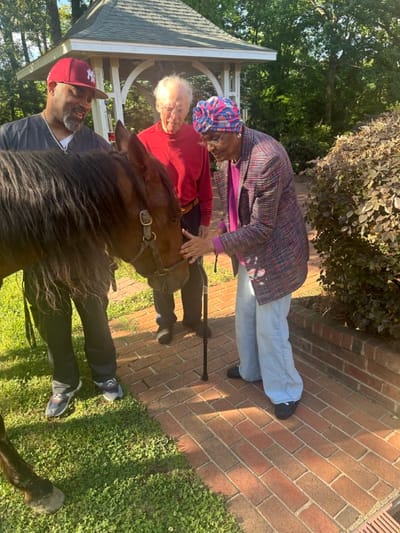 Residents interacting with a horse in a garden