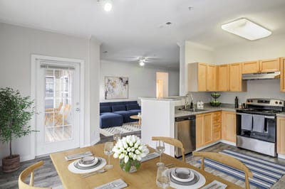 A bright and modern kitchen and living area in an apartment