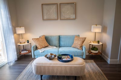 Cozy living room with soft furnishings
