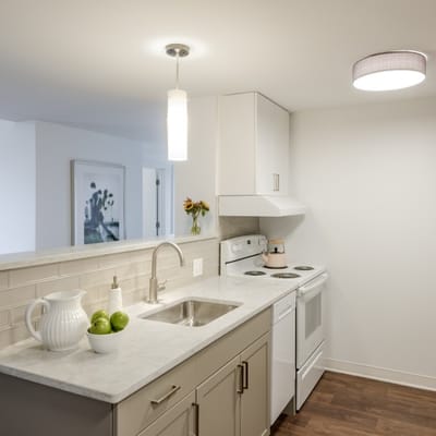 Modern kitchen interior with light-colored cabinets