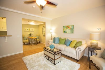 Bright interior living area with cozy furniture