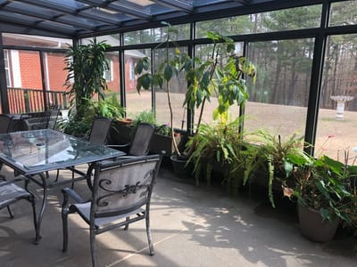Sunroom with plants and seating area