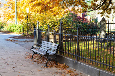 Park bench surrounded by autumn leaves and greenery
