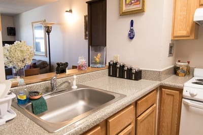 Kitchen area with sink and countertop appliances