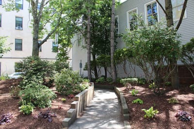Pathway through landscaped garden area