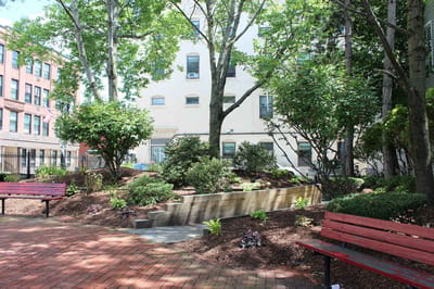 A serene outdoor garden area with benches