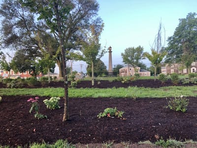 Lush garden area with walking paths and trees