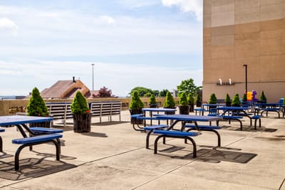 Outdoor patio area with blue picnic tables and greenery