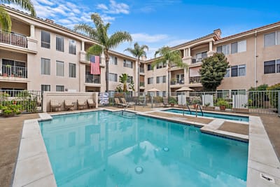 Outdoor pool area with palm trees and seating
