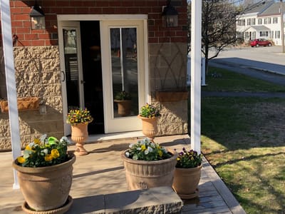 Entrance with flower pots and wooden steps