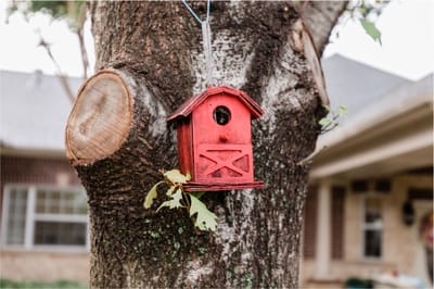 Colorful birdhouse hanging on a tree in outdoor space