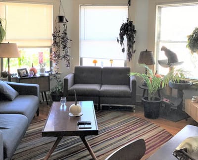 Cozy common area with a sofa and plants