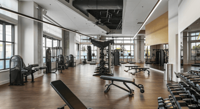 Modern gym with fitness equipment and natural light