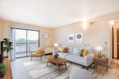 Cozy and bright living room with modern decor