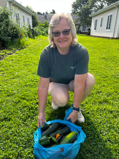 A staff member holds a bag of fresh vegetables in a garden