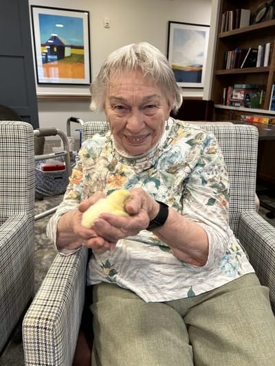 Senior resident holding a small chick in a common area