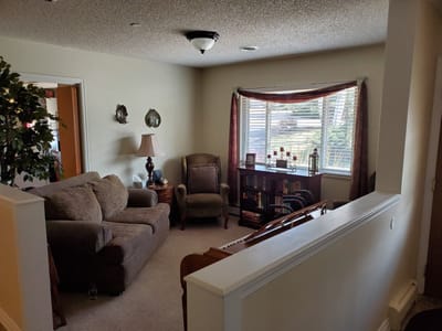 Cozy living area with a sofa and bookshelf