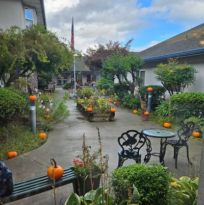 A garden pathway decorated with pumpkins