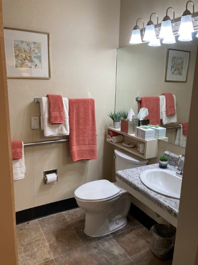 Bright bathroom with towels and plants