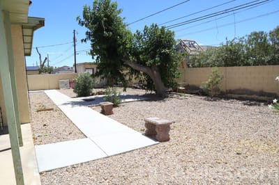 An outdoor space with a tree and walkway