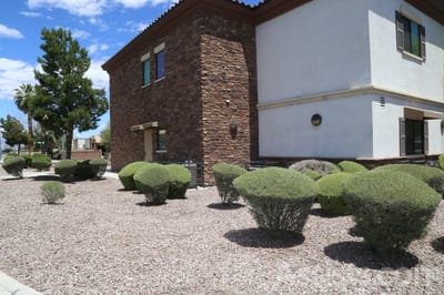 Exterior view of Casa Olivia with landscaping