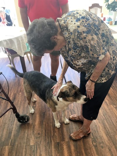 Resident interacting with a dog in a communal area