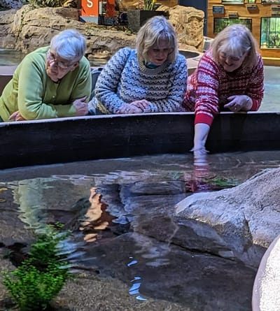 Residents engaged in an interactive activity.