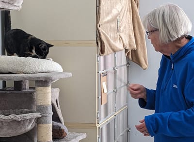 Resident interacting with a cat in a cozy area.