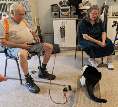 Residents interacting with a cat in a common area.