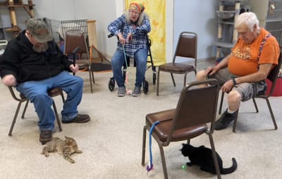 Residents engaging with cats in a common area.