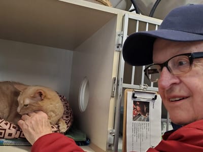 Resident interacting with a cat in a cozy setting.