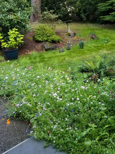 Home Away From Home, LLC, assisted living in Hyattsville, MD — Colorful flower beds in a serene garden setting