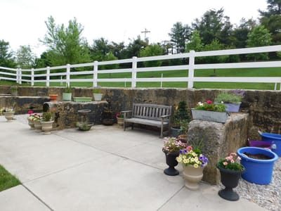 Outdoor garden seating area with flowers