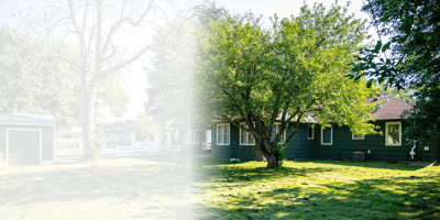 Outdoor view of green space with trees