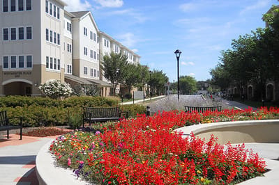 Colorful flowers and building exterior at Westminster Place
