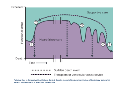 Graph depicting palliative care timeline.