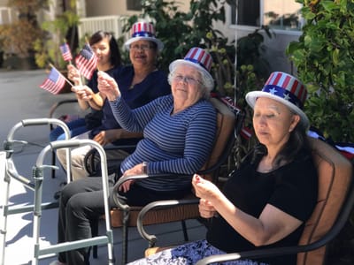 Residents enjoying an outdoor celebration with flags.