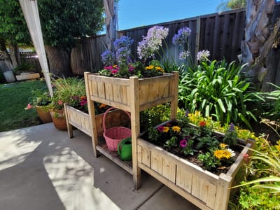 Colorful flower planter in an outdoor garden