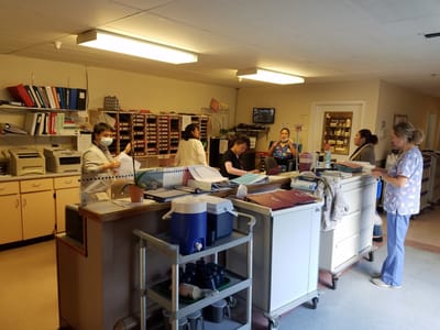 Staff interacting in a facility's common area