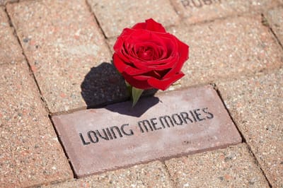 Memorial brick with rose in outdoor space.