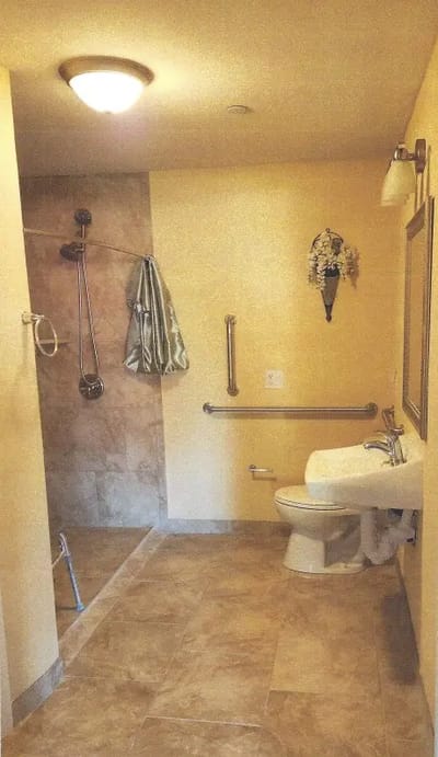 Accessible shower area in a bathroom