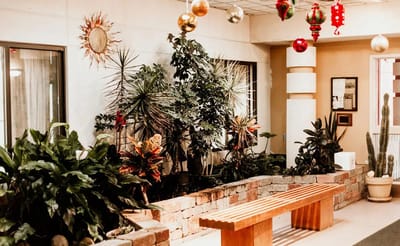 Interior courtyard with plants and seating area