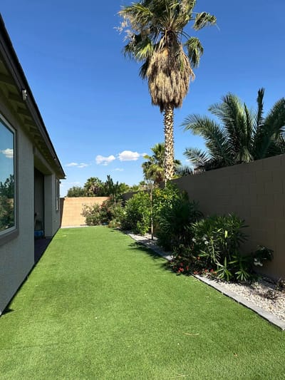 Well-maintained outdoor area with palm trees and greenery