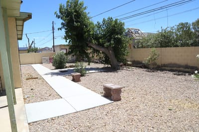 Outdoor area with tree and pathway