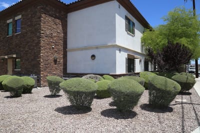 Exterior view of Casa Olivia with landscaped bushes.